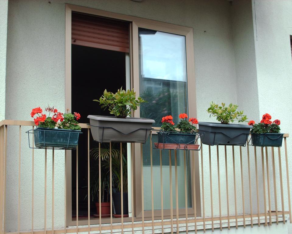 Guest House Cuore Del Friuli Udine Eksteriør bilde